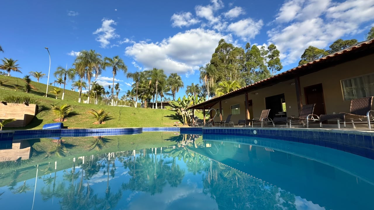 Reflexo das palmeiras na piscina